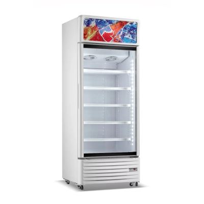 NASCO REFROIDISSEUR VERTICAL 528LT - NAS-CH700-1DR